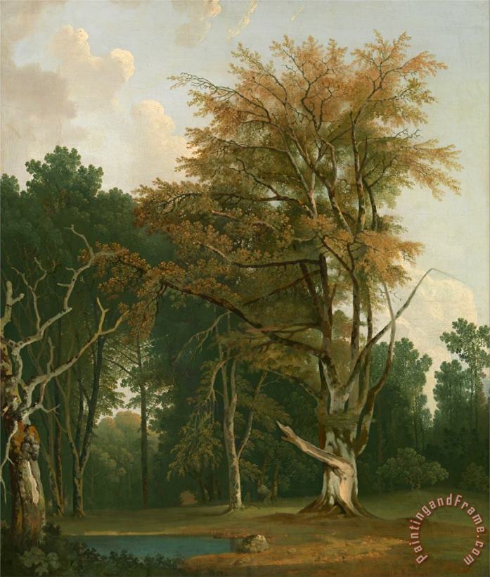 Joseph Farington Trees in a Woodland Glade Art Print
