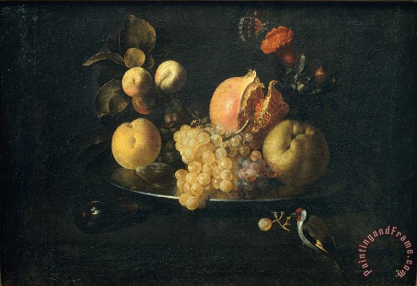 Still Life with Fruit And Goldfinch painting - Juan de Zurbaran Still Life with Fruit And Goldfinch Art Print