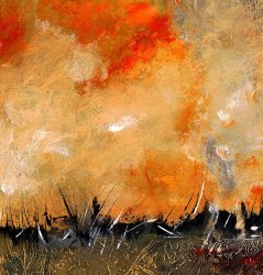 Katarina Niksic Bush fire
