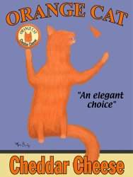 Ken Bailey Orange Cat