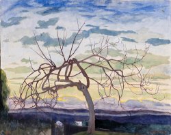 Leon Spilliaert Vijgenboom in De Winter, Grasse, 1922