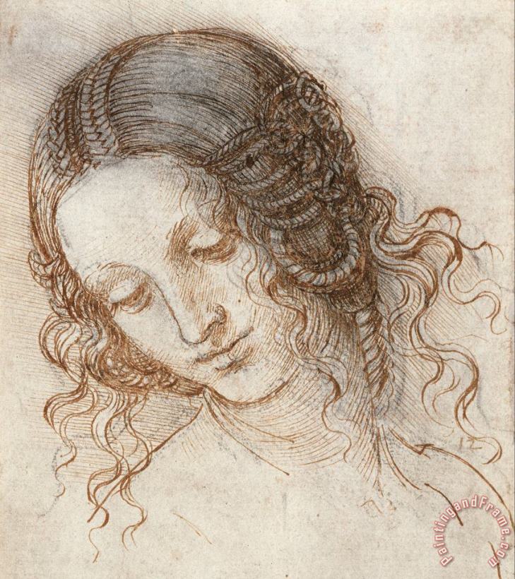 Leonardo Head Of Woman Drawing painting - Leonardo da Vinci Leonardo Head Of Woman Drawing Art Print
