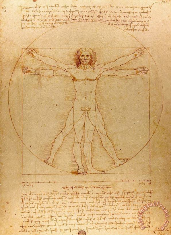 Leonardo da Vinci The Vitruvian Man Art Painting