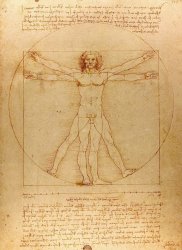 Leonardo da Vinci The Vitruvian Man
