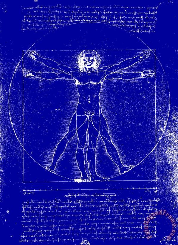 Vitruvian Blueprint painting - Leonardo da Vinci Vitruvian Blueprint Art Print