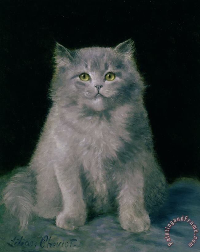 Study of a cat painting - Lilian Cheviot Study of a cat Art Print