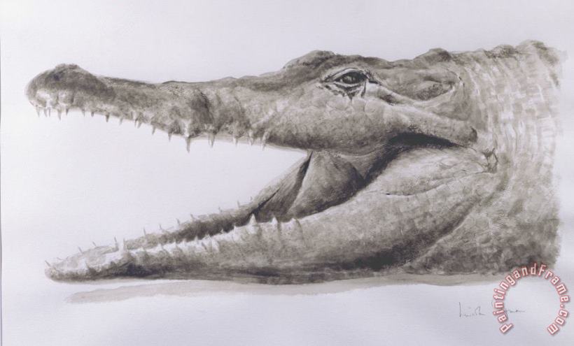 Lincoln Seligman Crocodile Art Painting
