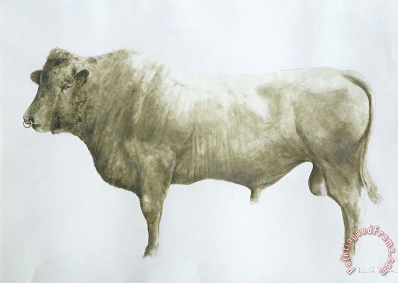 Islay Bull painting - Lincoln Seligman Islay Bull Art Print