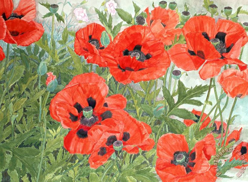 Poppies painting - Linda Benton Poppies Art Print