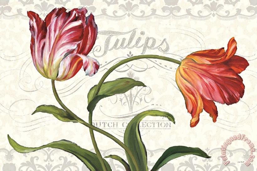Tulipa Botanica I Cream painting - Lisa Audit Tulipa Botanica I Cream Art Print