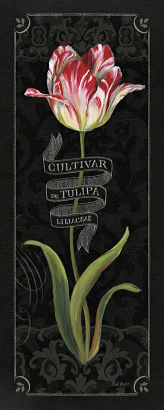 Tulipa Botanica III painting - Lisa Audit Tulipa Botanica III Art Print