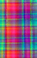Louisa Knight Bright Plaid