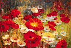 Lucas Santini Meadow Poppies