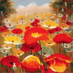 Lucas Santini Meadow Poppies Iv