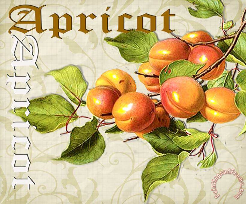 Apricot painting - Lynell Withers Apricot Art Print