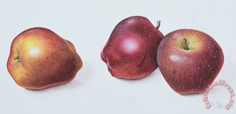 Margaret Ann Eden Red Apples Art Print