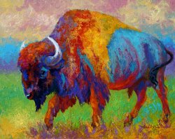Marion Rose A Journey Still Unknown - Bison