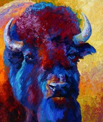 Marion Rose Bison Boss