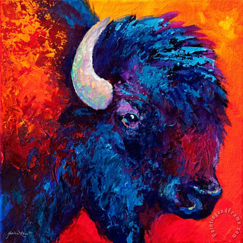 Bison Head Color Study II painting - Marion Rose Bison Head Color Study II Art Print