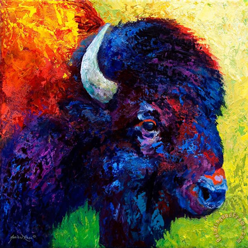 Marion Rose Bison Head Color Study III Art Painting