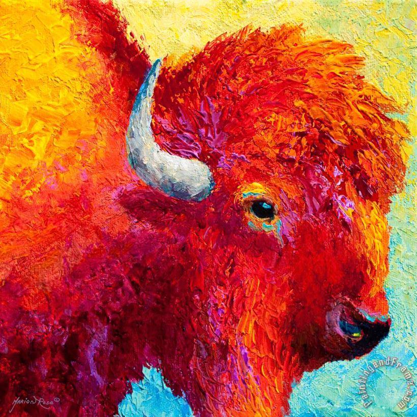 Marion Rose Bison Head Color Study IV Art Painting