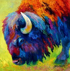 Marion Rose Bison Portrait II