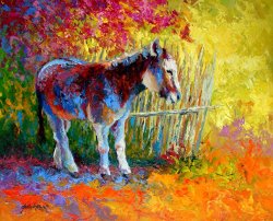 Marion Rose Burro And Bouganvillia