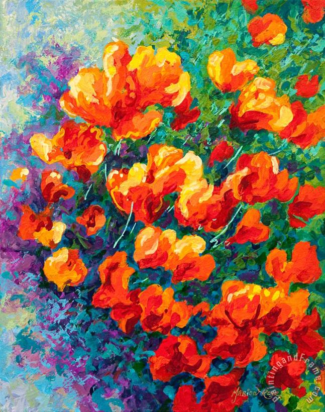 California Poppies painting - Marion Rose California Poppies Art Print