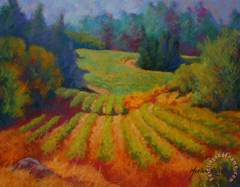 Marion Rose Columbia Valley Vineyard Art Painting