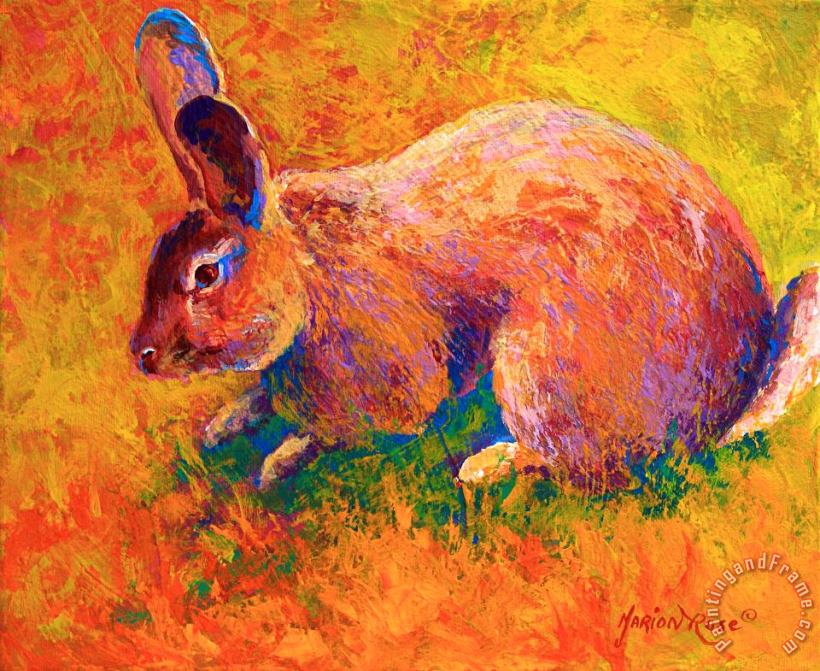 Cottontail I painting - Marion Rose Cottontail I Art Print