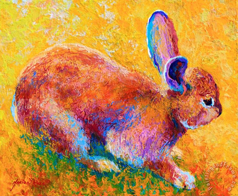 Marion Rose Cottontail II Art Print