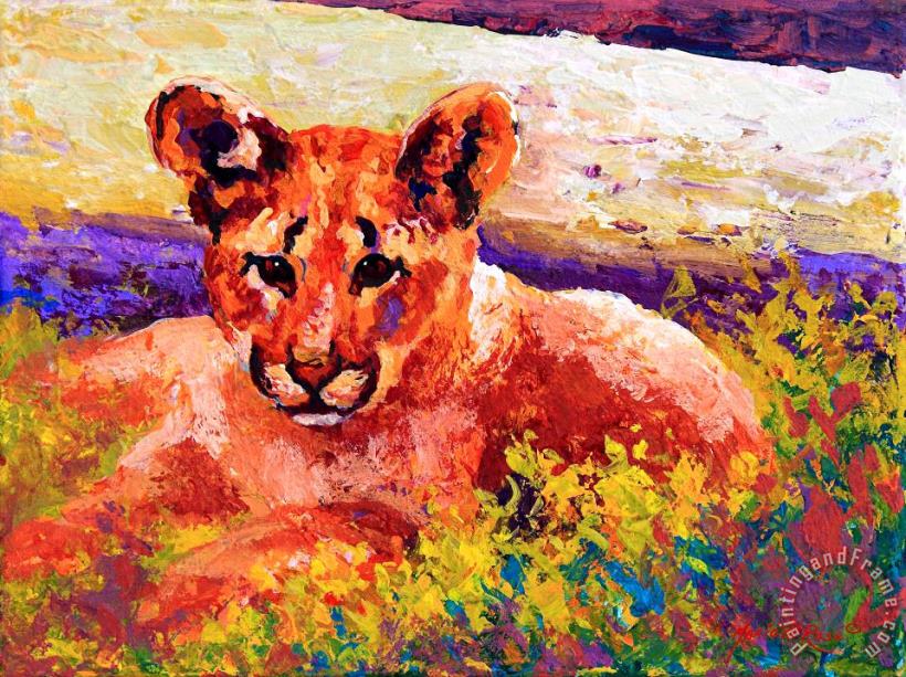 Cougar Cub painting - Marion Rose Cougar Cub Art Print