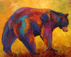 Marion Rose Daily Rounds - Black Bear