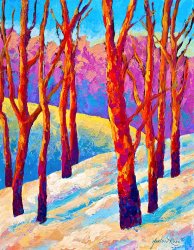 Marion Rose Dusk's Veil