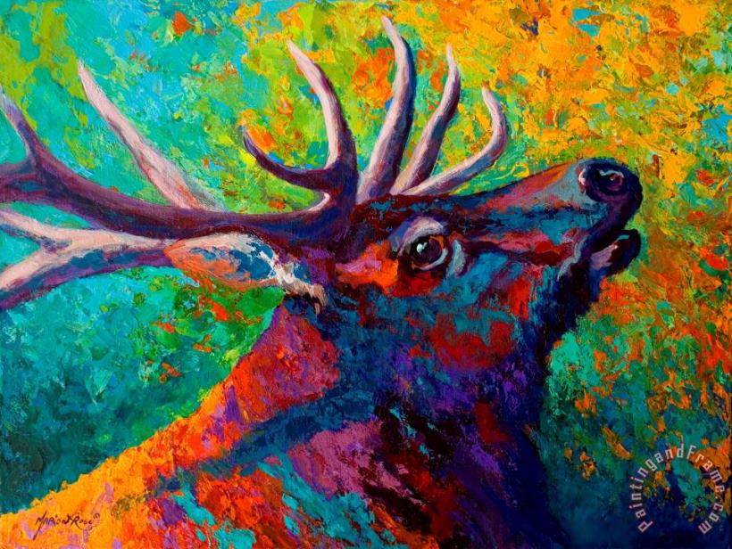 Forest Echo - Bull Elk painting - Marion Rose Forest Echo - Bull Elk Art Print