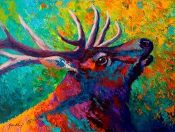 Marion Rose Forest Echo - Bull Elk