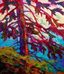 Marion Rose Forest Elder