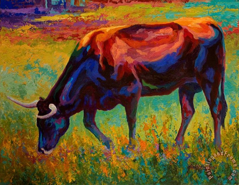 Grazing Texas Longhorn painting - Marion Rose Grazing Texas Longhorn Art Print