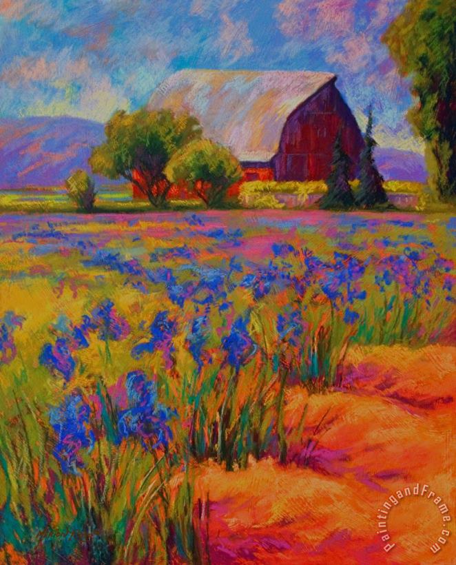 Iris Field painting - Marion Rose Iris Field Art Print