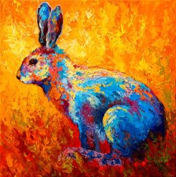 Marion Rose Jackrabbit