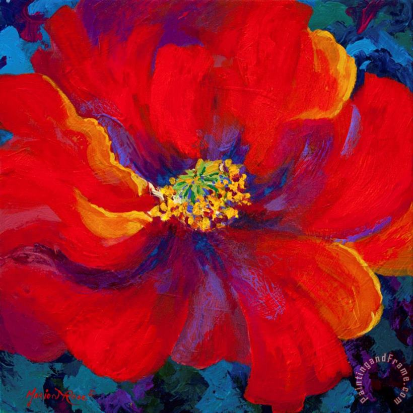 Marion Rose Passion - Red Poppy Art Painting