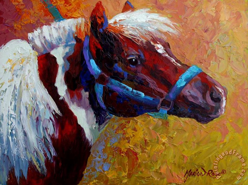 Pony Boy painting - Marion Rose Pony Boy Art Print