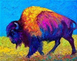 Marion Rose Prairie Dusk