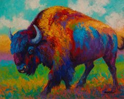 Marion Rose Prairie Muse - Bison