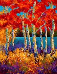 Marion Rose Red Birches