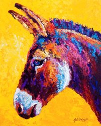 Marion Rose Red Jenny