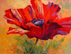Marion Rose Red Poppy II