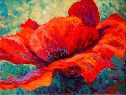 Marion Rose Red Poppy III