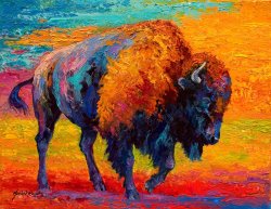 Marion Rose Spirit Of The Prairie - Bison