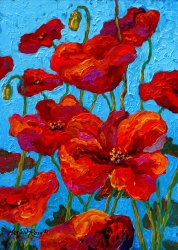 Marion Rose Spring Poppies
